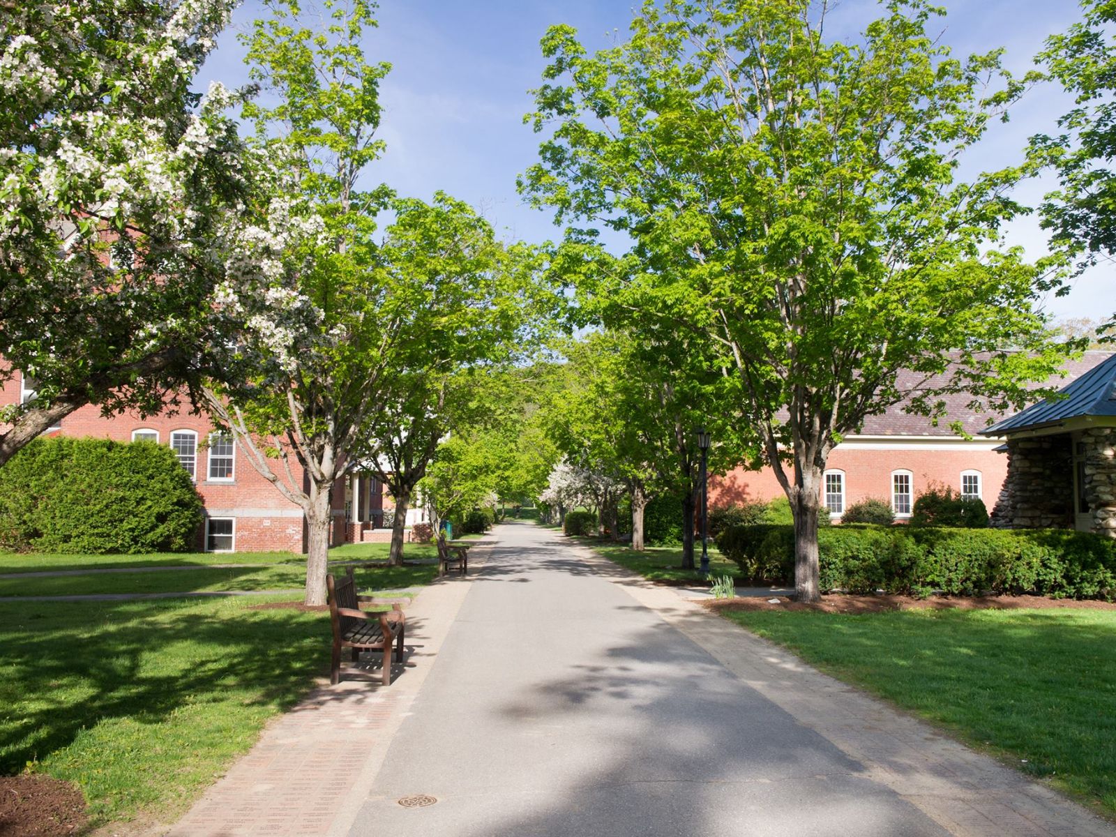 Bí quyết giúp học sinh Vermont Academy chinh phục đại học Mỹ top đầu!