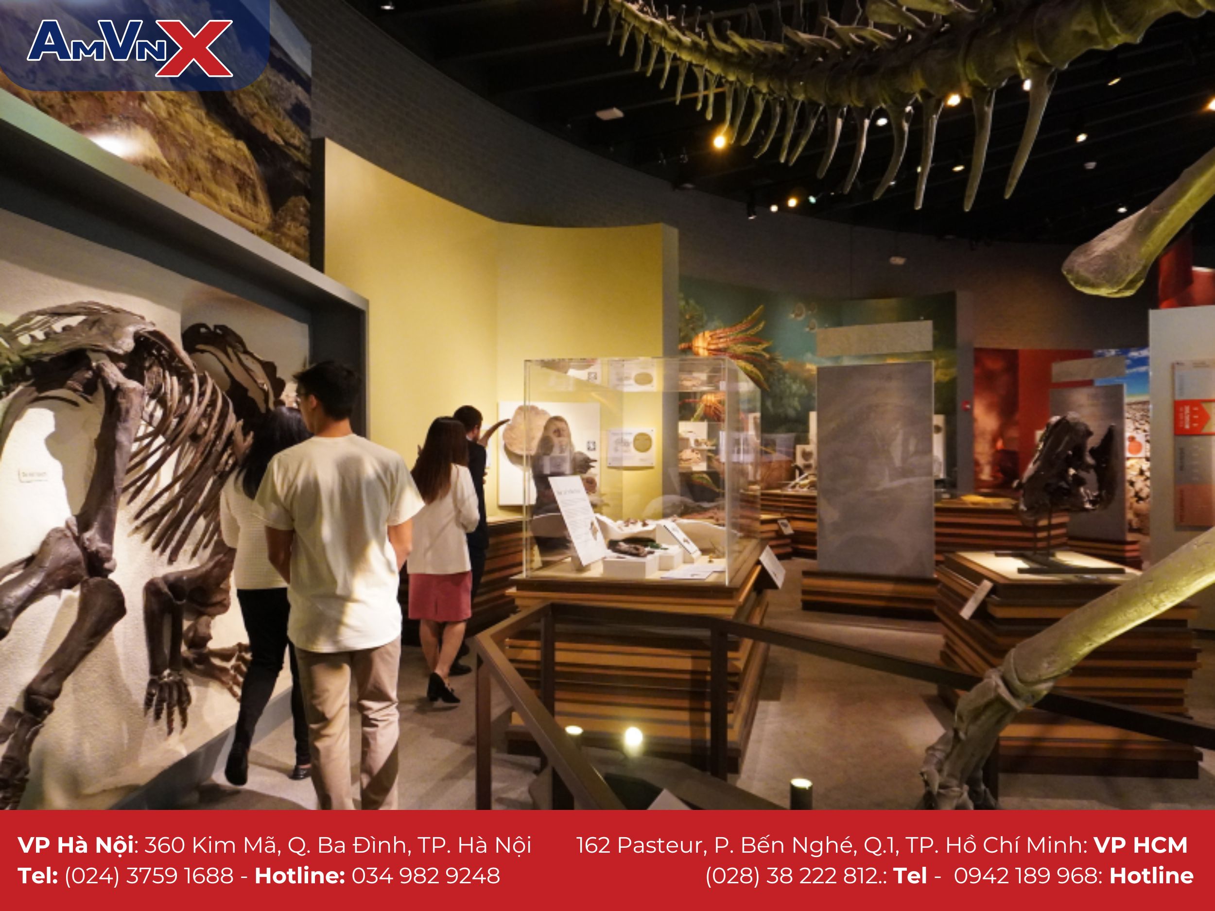 Đặc điểm nổi bật