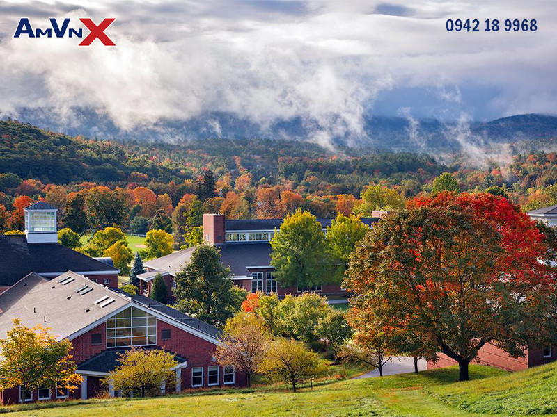 Chương trình Arts Scholar