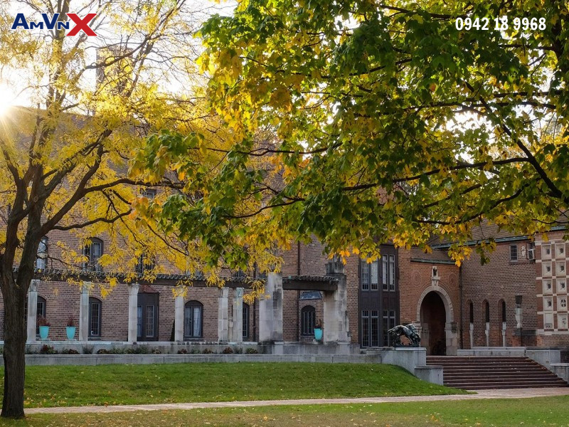 Chương trình học tập đa dạng, toàn diện