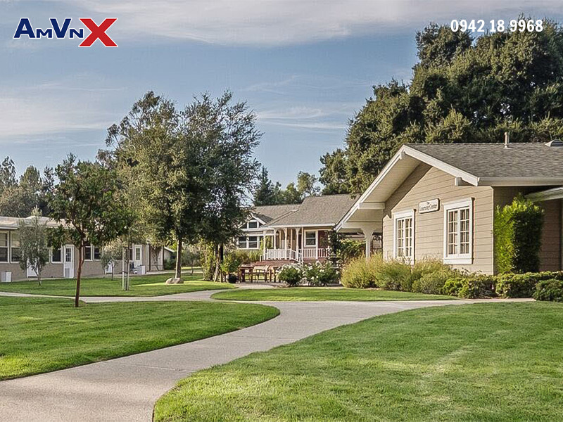 Chương trình học tập đa dạng, toàn diện