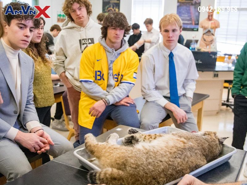 Chương trình học tập nổi bật tại  Trường nội trú Kimball Union Academy