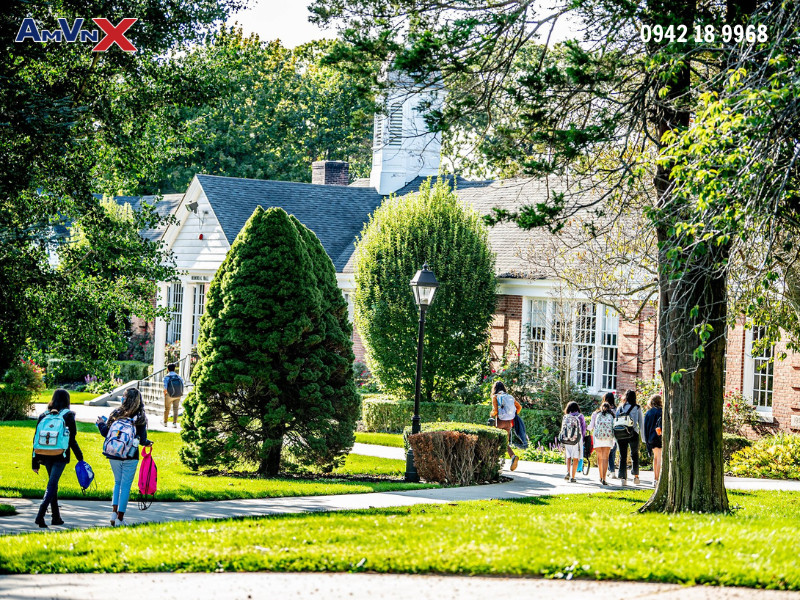 Chương trình học tập toàn diện, nghiêm ngặt