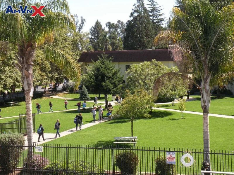 Chương trình IB tại trường nội trú Monte Vista Christian có gì đặc biệt?