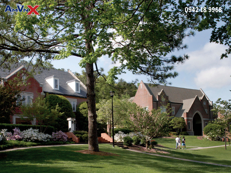 Cơ sở vật chất tiện nghi