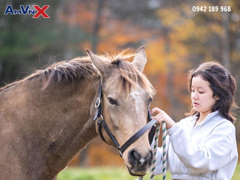 Cuộc sống học sinh tại Trường nội trú Kimball Union Academy có gì đặc biệt?