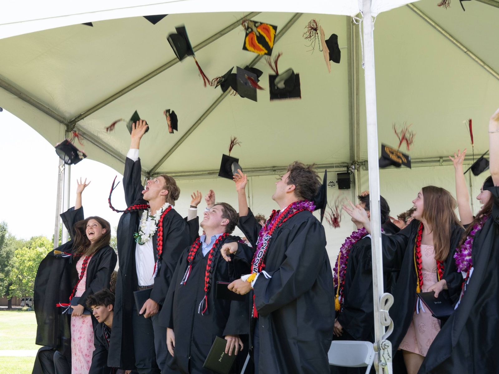 Dunn School: Khám phá Lộ trình Giáo dục Toàn diện từ Lớp 6-12 & Thành công Đại học