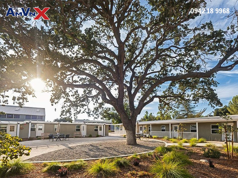 Giáo viên có chuyên môn cao, tâm huyết với học sinh