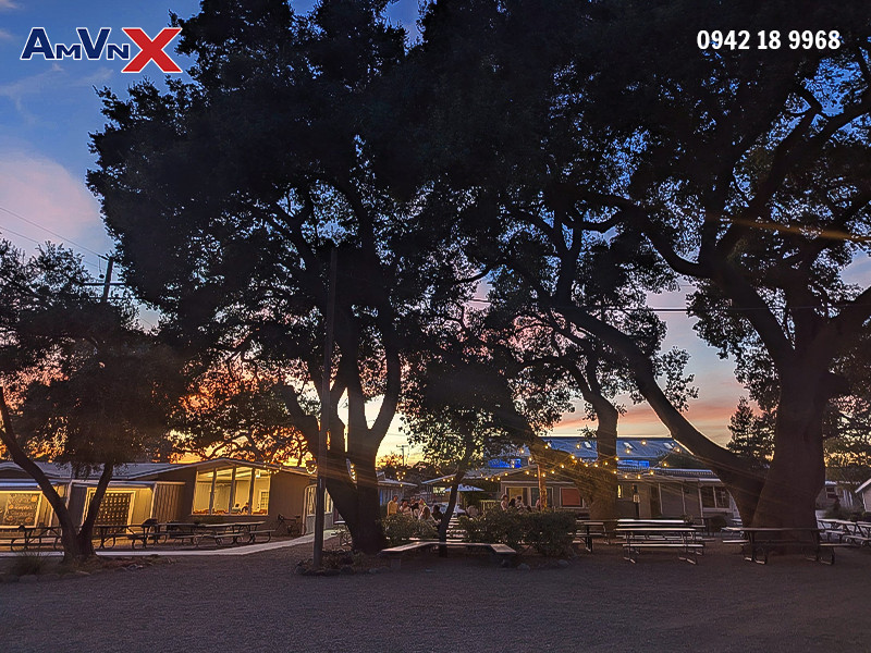 Hoạt động ngoại khóa đa dạng, phong phú