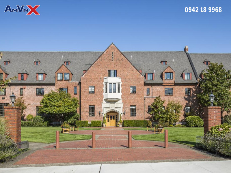 Hoạt động ngoại khóa phong phú