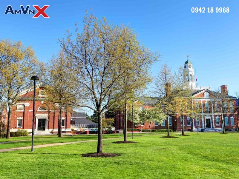 Hơn 100 CLB, tổ chức khác nhau để học sinh phát triển bản thân