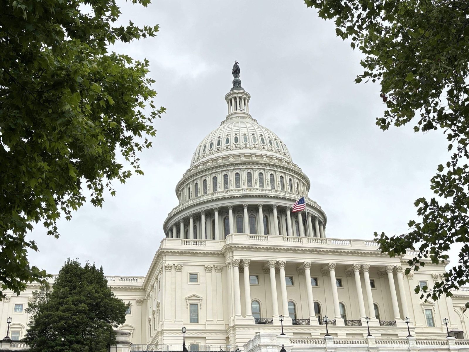 Khám phá trải nghiệm học tập tại Chapel Hill- Chauncy Hall!