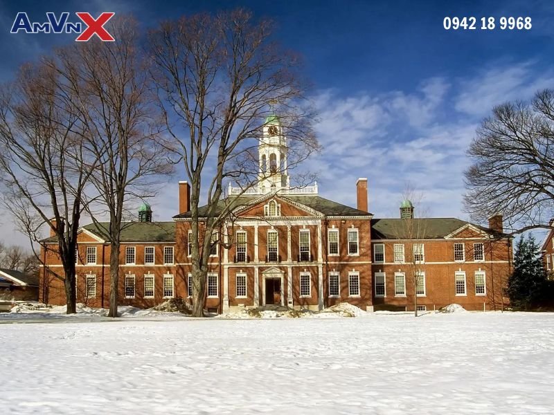 Khuôn viên trường rộng rãi, thoáng đãng