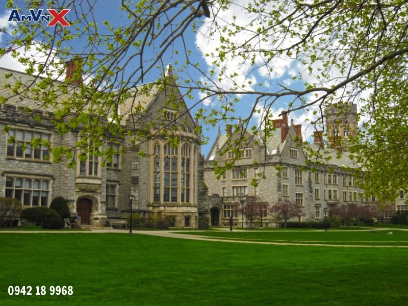 Những thành tích ấn tượng