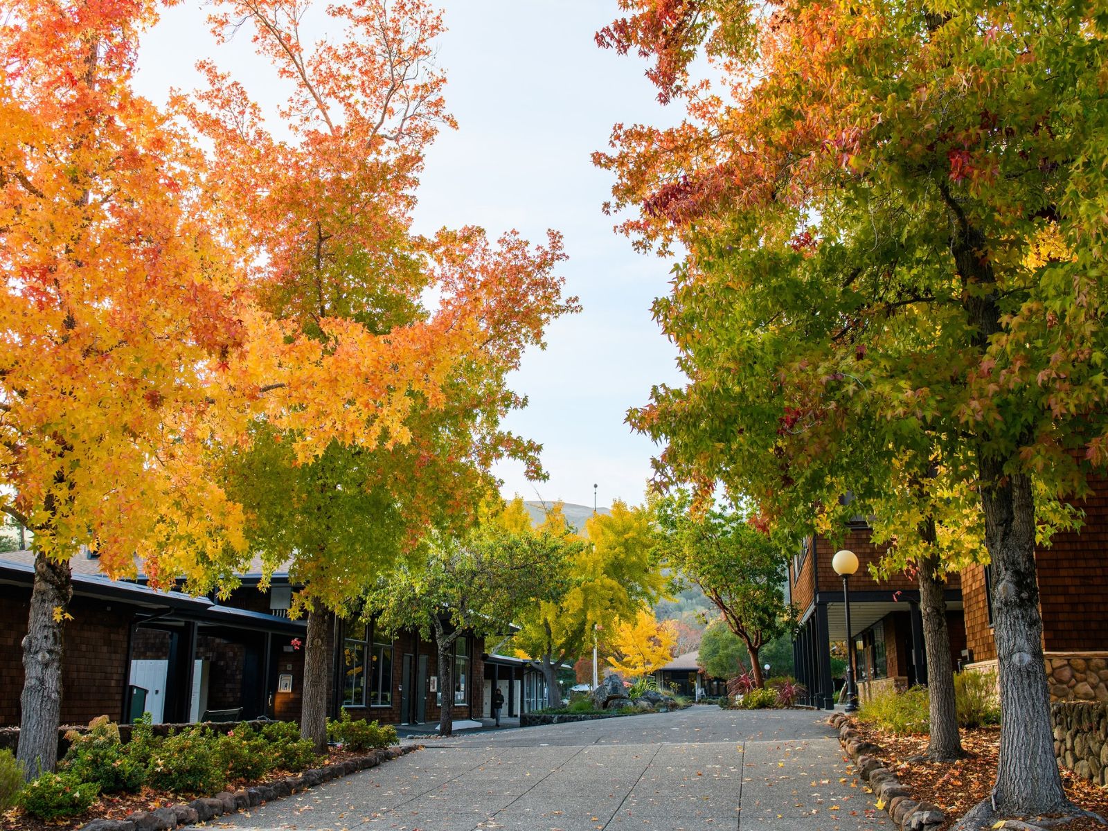 San Domenico School - Trường nội trú lâu đời nhất bang California!
