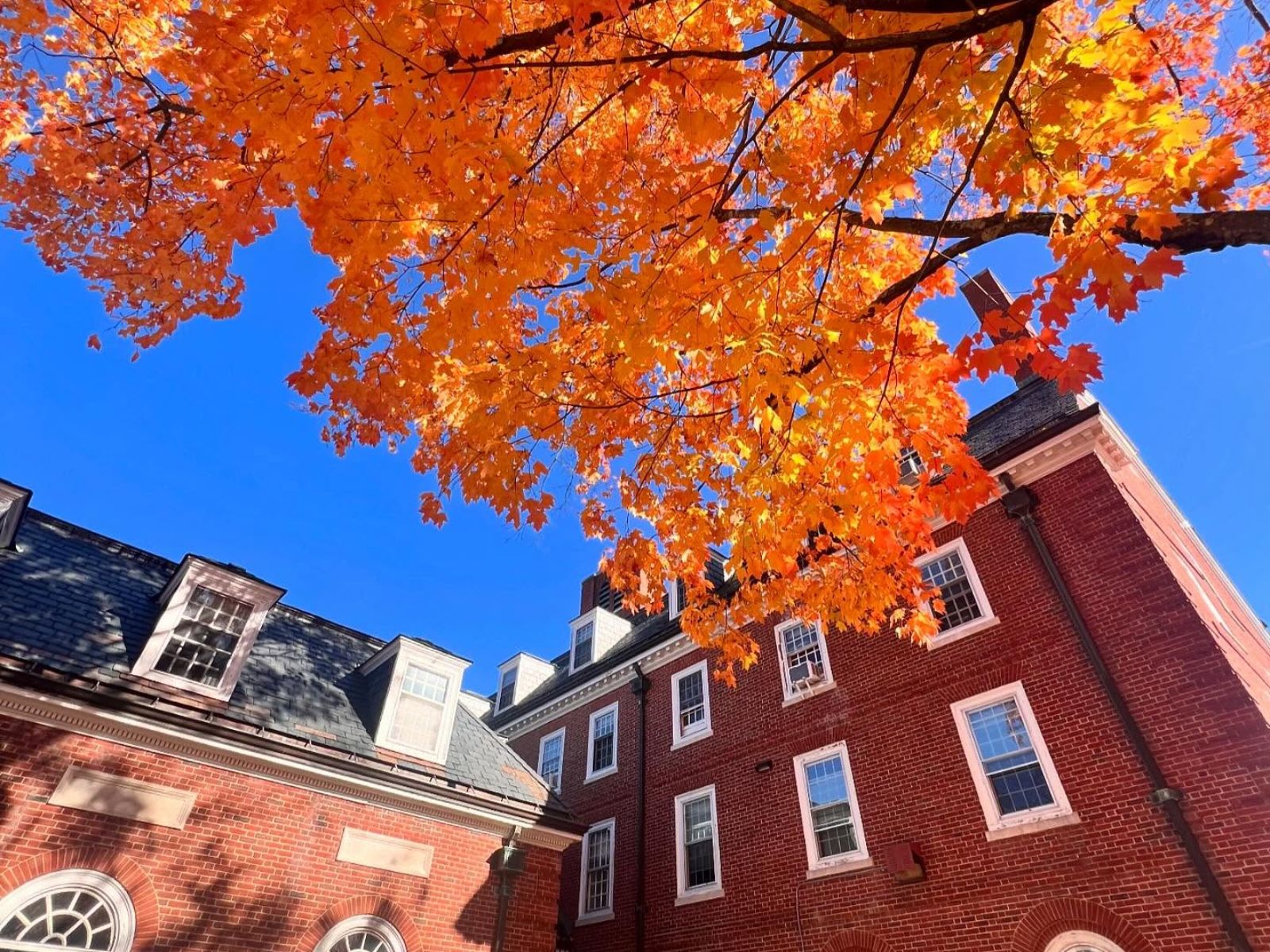 Cho con du học THPT nội trú Mỹ – Khoản đầu tư xứng đáng cho tương lai