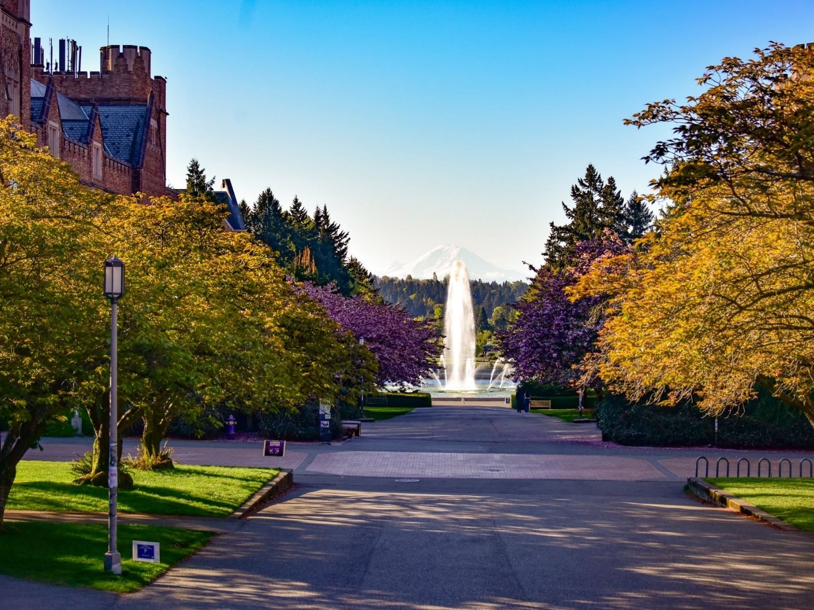 University of Washington: Cộng đồng người Việt đông nhất – Lợi hay bất lợi cho du học sinh mới?