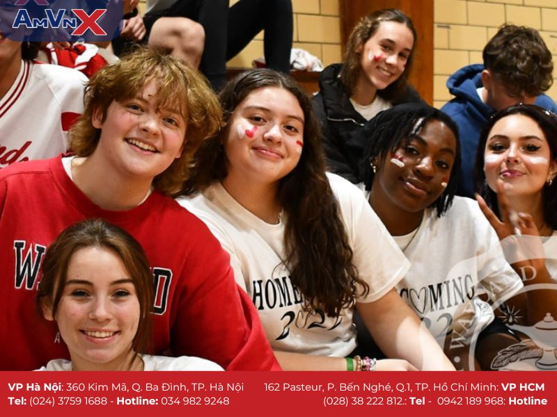 Xếp hạng và giải thưởng