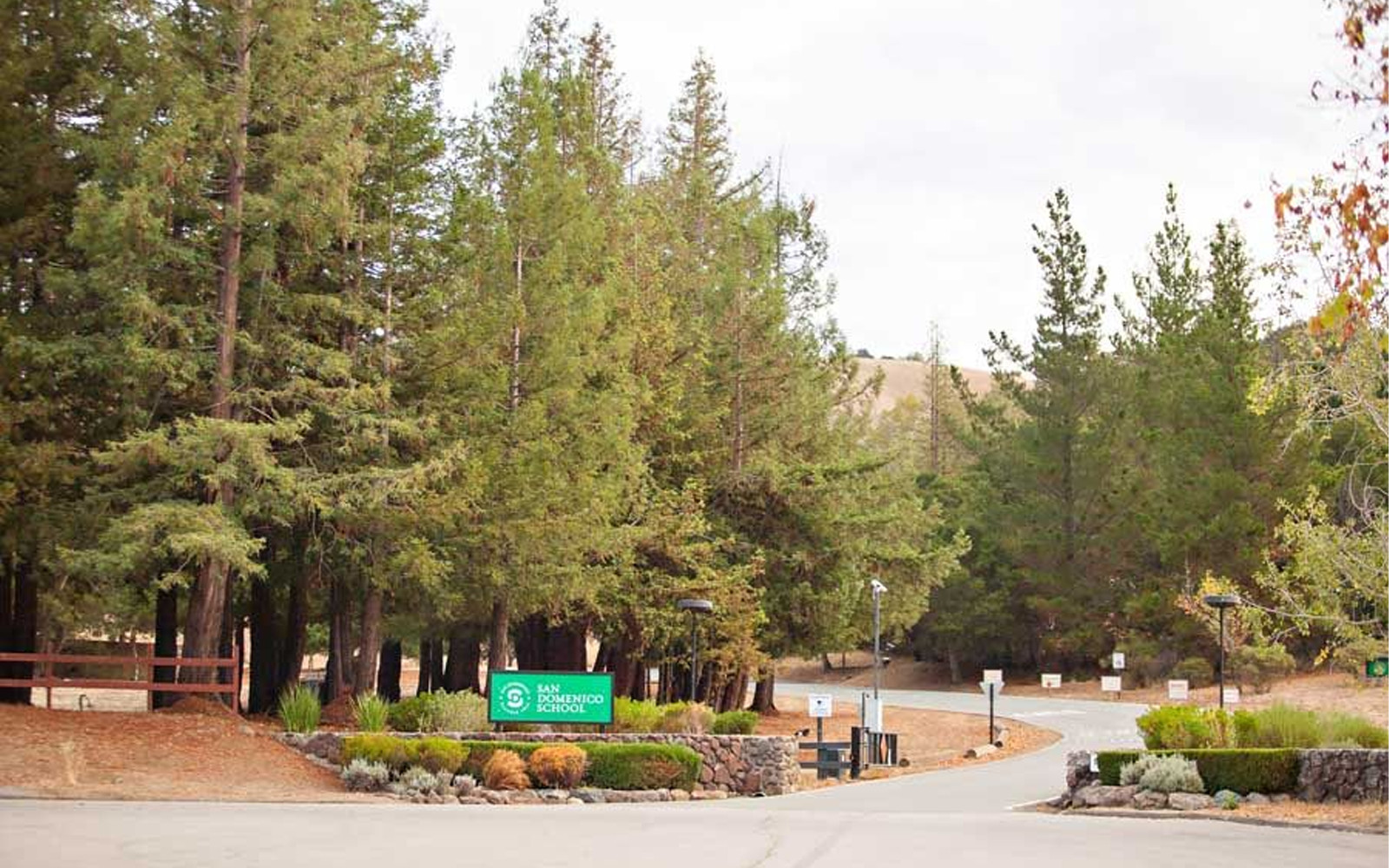 Trường nội trú San Domenico School: Học bổng và Hỗ trợ tài chính