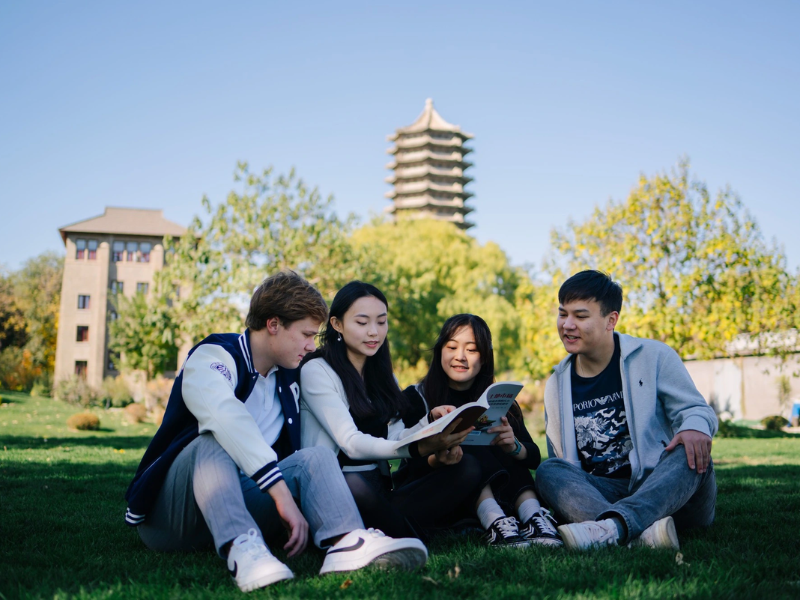 Top 5 trường có nhiều du học sinh Việt Nam tại Mỹ năm 2024