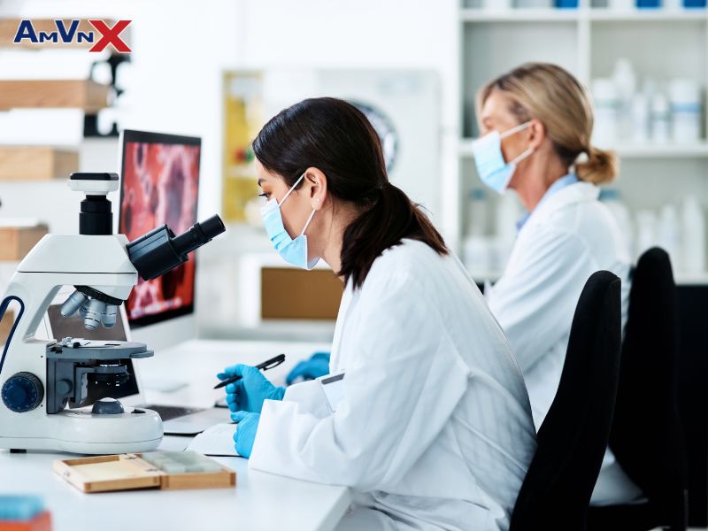 6 trường đại học Mỹ hàng đầu đào tạo về Biomedical Engineering