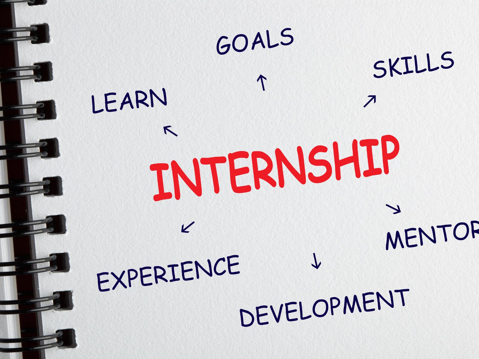 Cách chuẩn bị hồ sơ xin internship cho du học sinh tại Mỹ