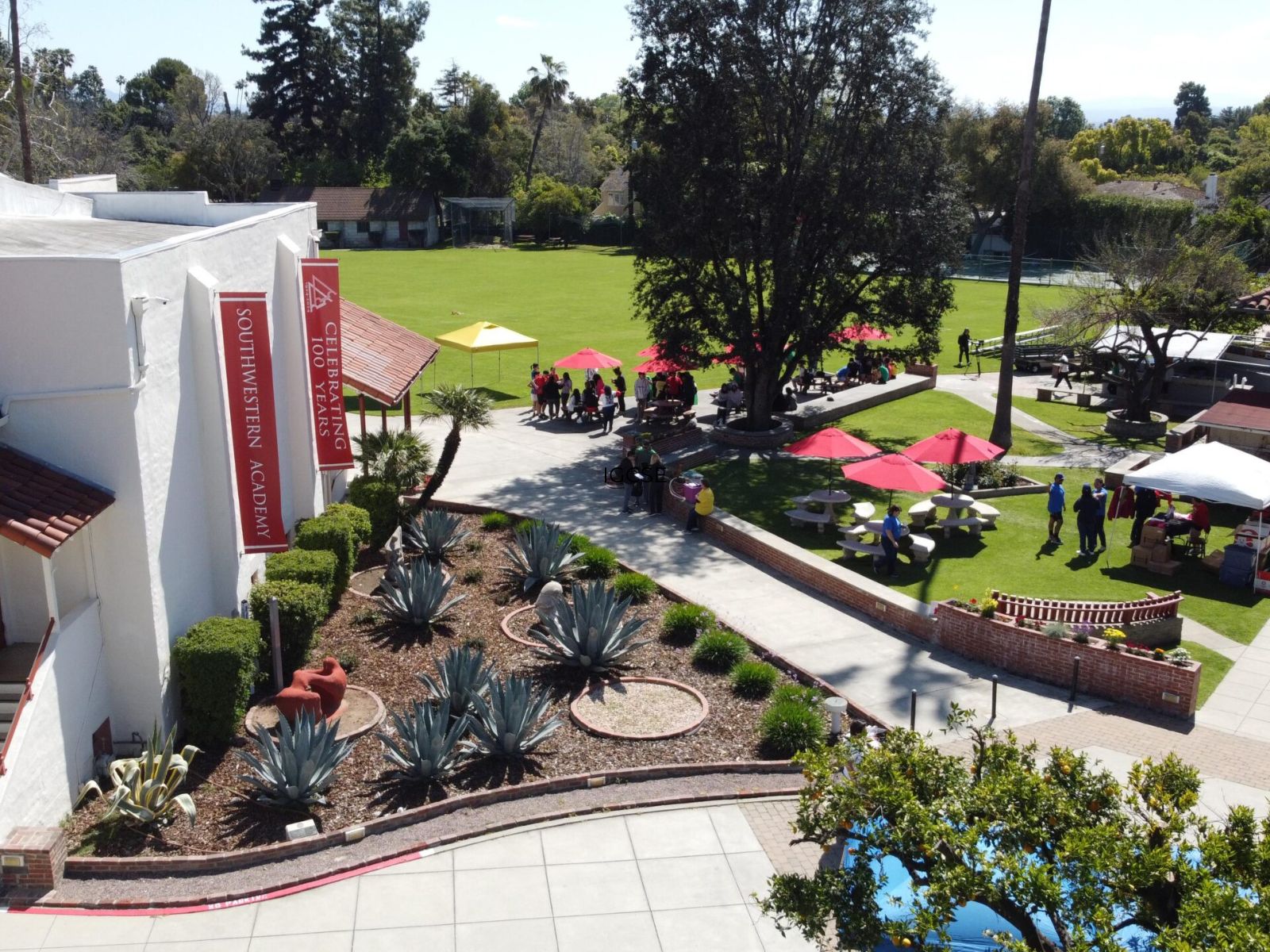 Du học Mỹ từ lớp 9, 10, 11: Thời điểm nào là tối ưu nhất? So sánh chi tiết ưu - nhược