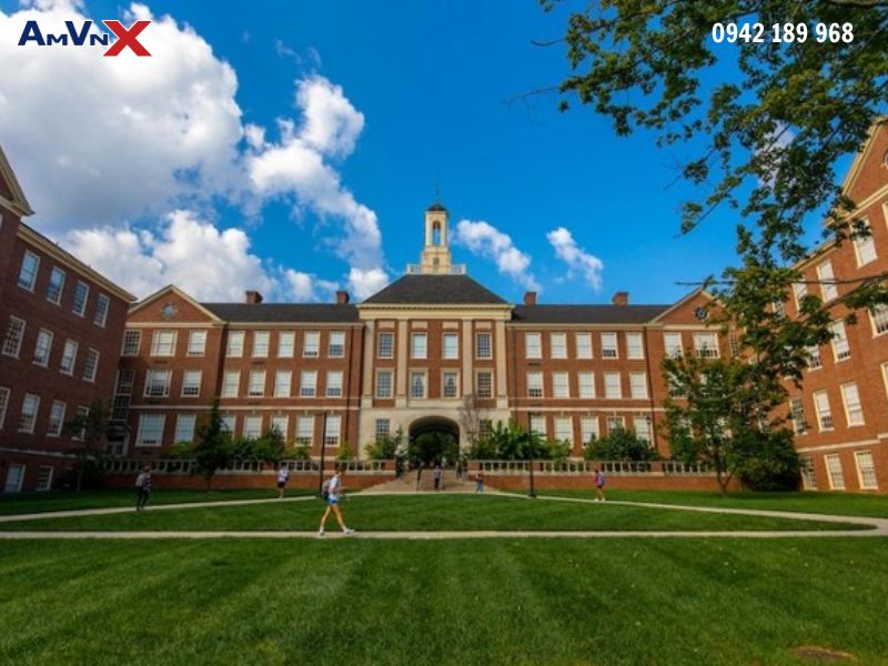 Học bổng toàn phần - Đại học Miami