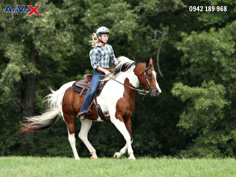 Học cưỡi ngựa tại trường THPT nội trú Mỹ