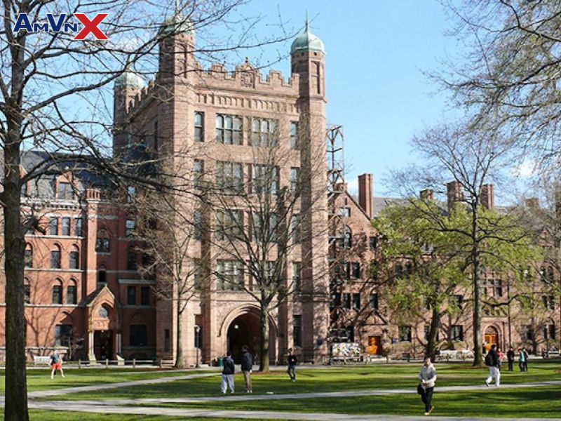 Đại học Yale