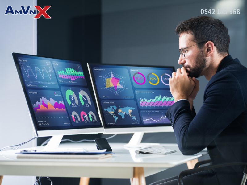 Information Security Analysts