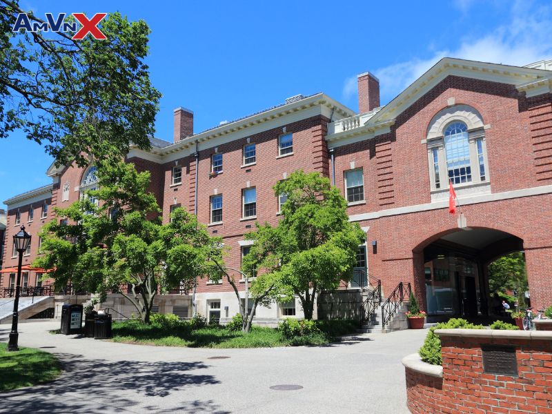 Ivy League - Top 8 trường Đại học ở Mỹ danh giá