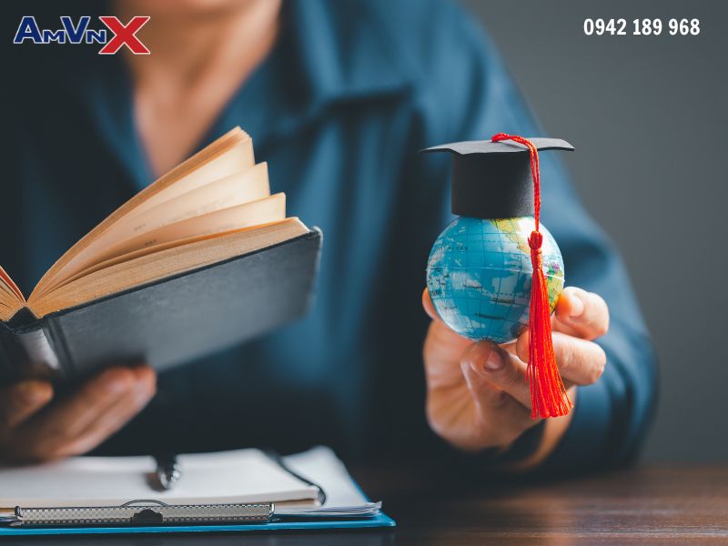 Phân loại các nhóm trường khi nộp đơn vào trường đại học Mỹ