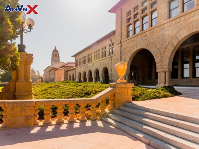 Stanford University - Trường đại học của Mỹ top đầu