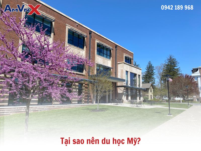 Tại sao nên du học Mỹ?