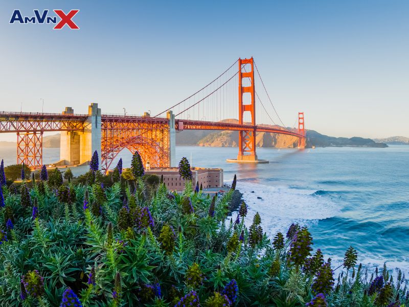 Thành phố San Francisco