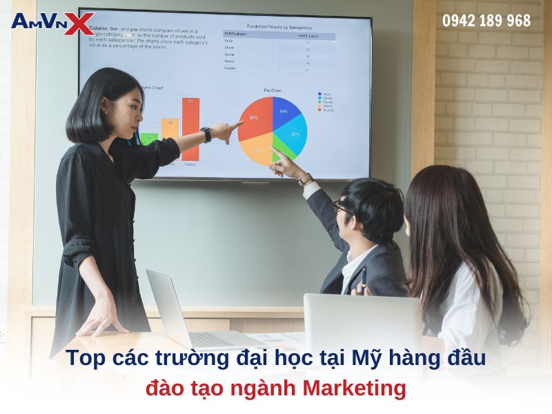 Top các trường đại học tại Mỹ hàng đầu đào tạo ngành Marketing