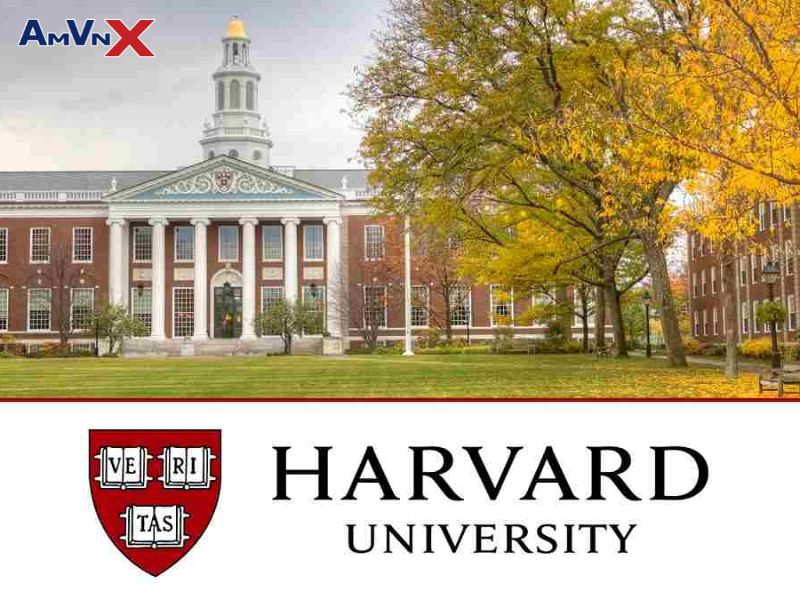 Trường đại học ở Mỹ hàng đầu - Harvard University