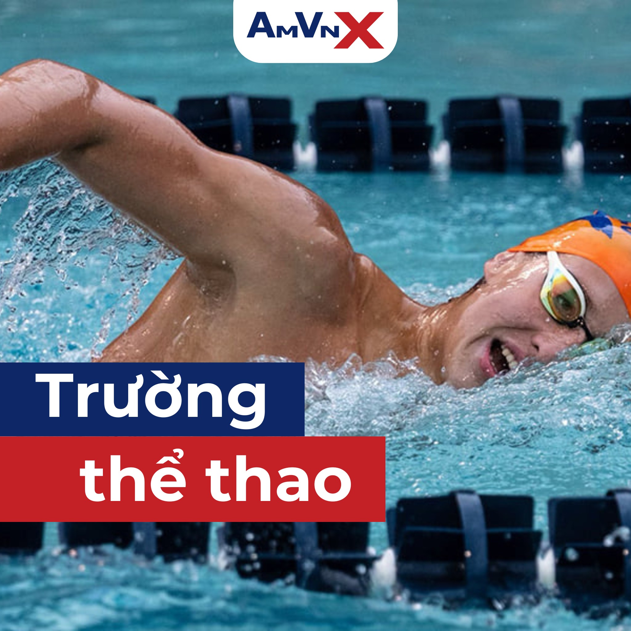 Trường Thể thao