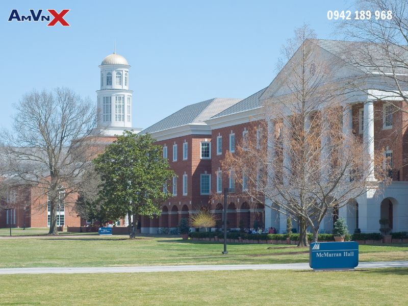 Việc tuyển chọn ứng viên vào Đại học Mỹ bị ảnh hưởng bởi các yếu tố "tiềm ẩn"